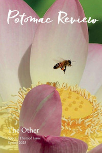 Potomac Review Issue 76