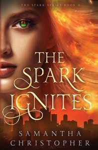 The Spark Ignites - (Paperback or Softback)