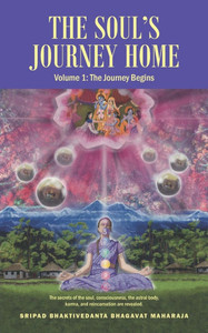 The Soul's Journey Home: Volume 1: The Journey Begins The Soul's Journey Home: Volume 1: The Journey Begins