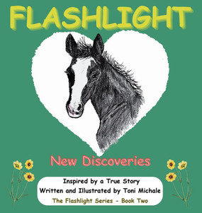 Flashlight - New Discoveries: Flashlight Flashlight - New Discoveries: Flashlight