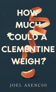 How Much Could a Clementine Weigh? - (Hardback or Cased Book) How Much Could a Clementine Weigh? - (Hardback or Cased Book)