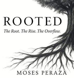Rooted: The Root. The Rise. The Overflow. - (Hardback or Cased Book) Rooted: The Root. The Rise. The Overflow. - (Hardback or Cased Book)