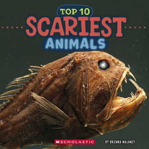 Scariest Animals (Wild World: Top 10) Scariest Animals (Wild World: Top 10)