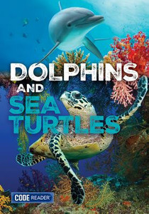 Dolphins and Sea Turtles
