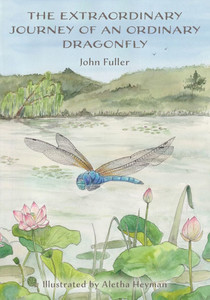 The Extraordinary Journey of an Ordinary Dragonfly - (Paperback or Softback) The Extraordinary Journey of an Ordinary Dragonfly - (Paperback or Softback)