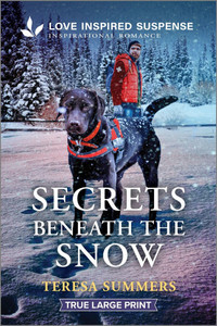 Secrets Beneath the Snow - 9781335484116