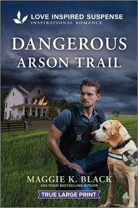 Dangerous Arson Trail - 9781335484130 Dangerous Arson Trail - 9781335484130