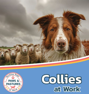 Collies at Work - (Hardback or Cased Book)