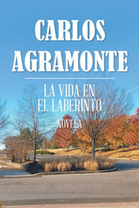 La Vida En El Laberinto - (Paperback or Softback)