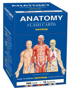 Anatomy Flash Cards: A Quickstudy Reference & Study Tool