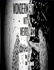 Wonderment Within Weirdness