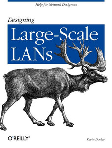Designing Large Scale LANs: Help for Network Designers