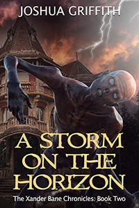 A Storm On The Horizon: The Xander Bane Chronicles: Book Two