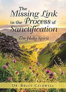 The Missing Link In The Process Of Sanctification: The Holy Spirit The Missing Link In The Process Of Sanctification: The Holy Spirit