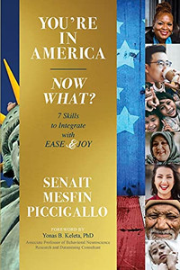 You'Re In America - Now What?: 7 Skillsets To Integrate With Ease And Joy