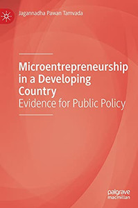 Microentrepreneurship In A Developing Country: Evidence For Public Policy