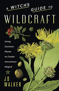 A Witch'S Guide To Wildcraft: Using Common Plants To Create Uncommon Magick