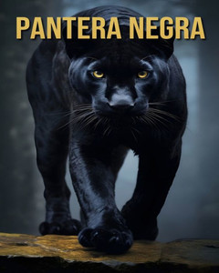 Pantera negra: Datos Divertidos e Interesantes e Imágenes Sobre Pantera negra