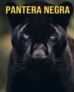 Pantera negra: Datos Divertidos e IncreÃ­bles ImÃ¡genes Sobre Pantera negra
