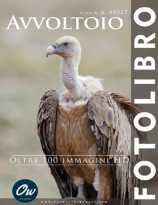Avvoltoio: Fotolibro - oltre 100 immagini HD