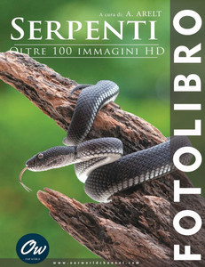 Serpenti: Fotolibro - oltre 100 immagini HD