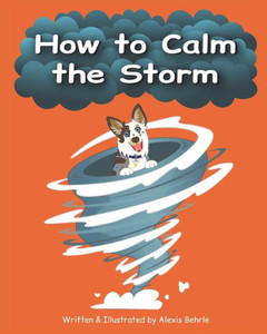 How to Calm the Storm