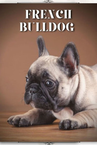 French Bulldog: Dog Breed guide