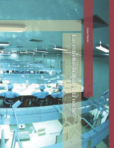 Las estrellas brillan en la noche