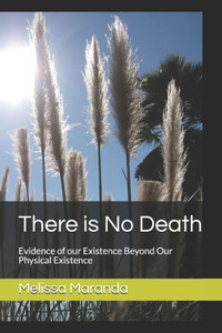 There is No Death: Evidence of our Existence Beyond Our Physical Existence