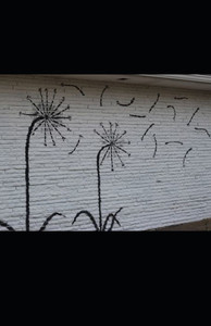 Sunflower Bones: A Collection of Poetry