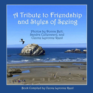 A Tribute to Friendship and Styles of Seeing: Photos by Donna Belt, Sandra Cullenward, and Cleone Lyvonne Reed