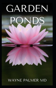 Garden Ponds: All You Need To Know ABOUT Creating Your Garden Pond