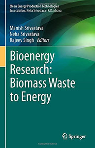 Bioenergy Research: Biomass Waste To Energy (Clean Energy Production Technologies)