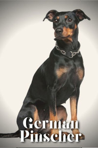 German Pinscher: Dog breed overview and guide