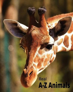 A-Z Animal Book Real Pictures With Facts
