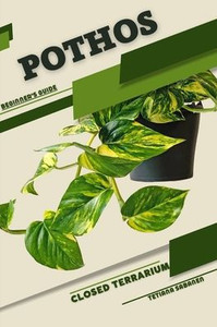 Pothos: Closed terrarium, Beginner's Guide