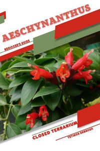 Aeschynanthus: Closed terrarium, Beginner's Guide
