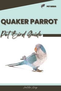 Quaker Parrot: Pet bird guide