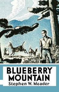 Blueberry Mountain