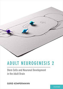 Adult Neurogenesis Adult Neurogenesis