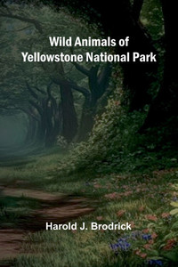 Wild Animals of Yellowstone National Park