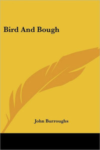 Bird And Bough