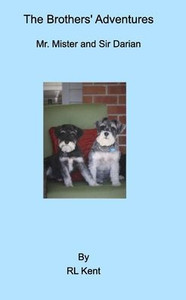 The Brothers' Adventure: Mr. Mister and Sir Darian
