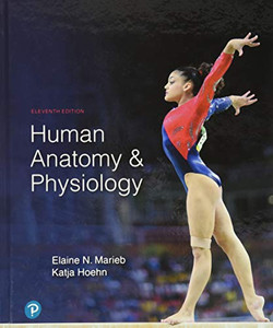 Human Anatomy & Physiology Human Anatomy & Physiology