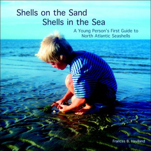 Shells on the Sand, Shells in the Sea