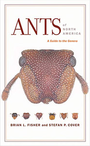 Ants Of North America: A Guide To The Genera Ants Of North America: A Guide To The Genera