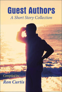 Guest Authors A Short Story Collection