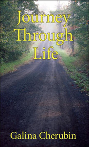 Journey Through Life