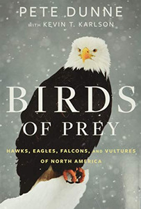 Birds Of Prey: Hawks, Eagles, Falcons, And Vultures Of North America