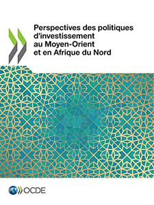 Perspectives Des Politiques D’Investissement Au Moyen-Orient Et En Afrique Du Nord (French Edition)